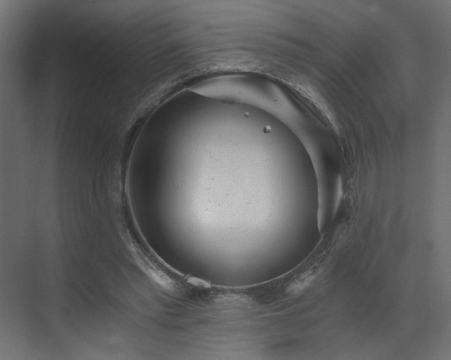 X0000072960397200607211203