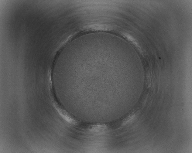 X0000072960398200607211203