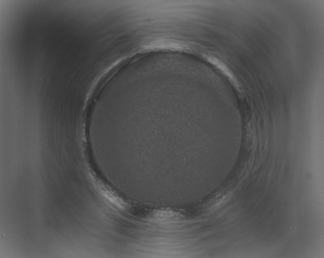 X0000072960399200607211203