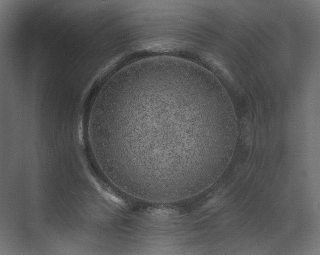 X0000072960400200607211202