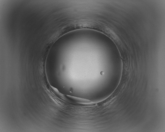 X0000072960401200607211202