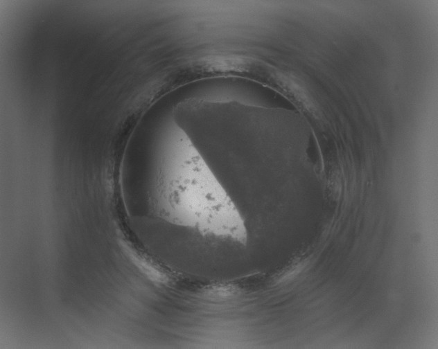 X0000072960402200607211202