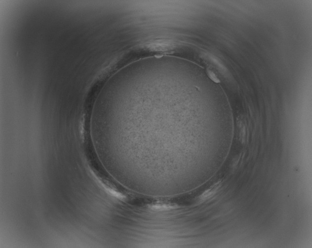 X0000072960404200607211202