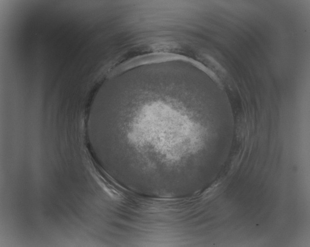 X0000072960405200607211202