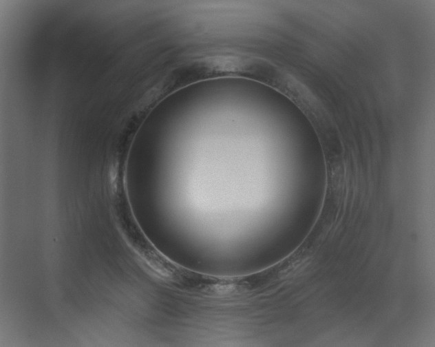 X0000072960406200607211202