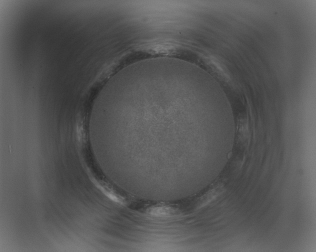 X0000072960408200607211202