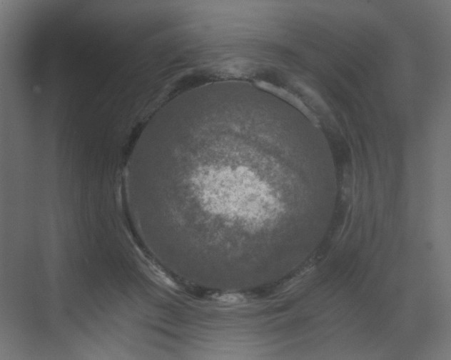 X0000072960409200607211202