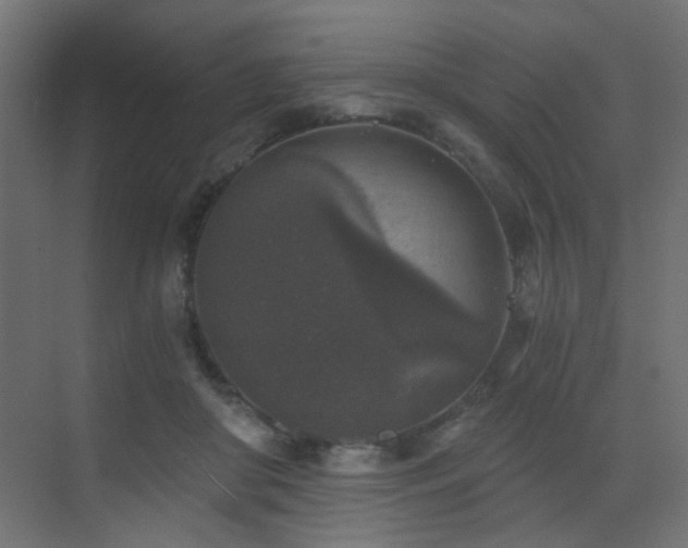 X0000072960410200607211202