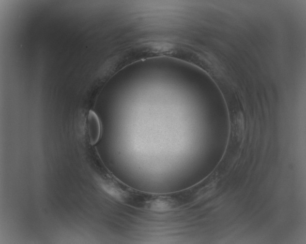 X0000072960412200607211202