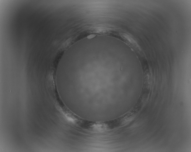 X0000072960415200607211202