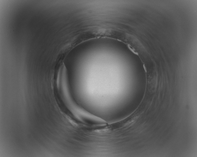 X0000072960416200607211202