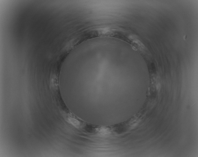 X0000072960419200607211202