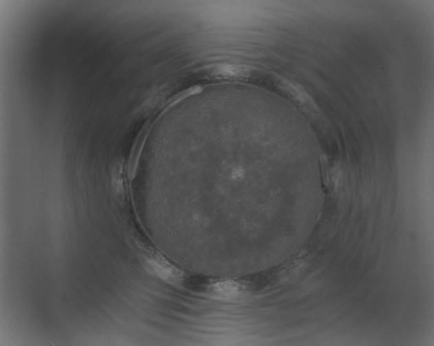 X0000072960423200607211202