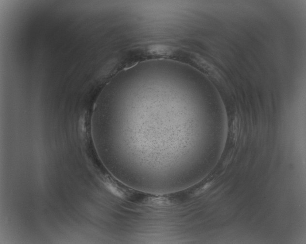 X0000072960424200607211202