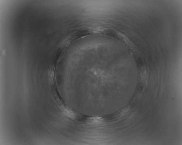 X0000072960427200607211202