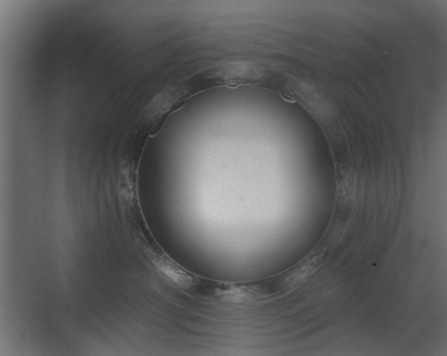 X0000072960430200607211202