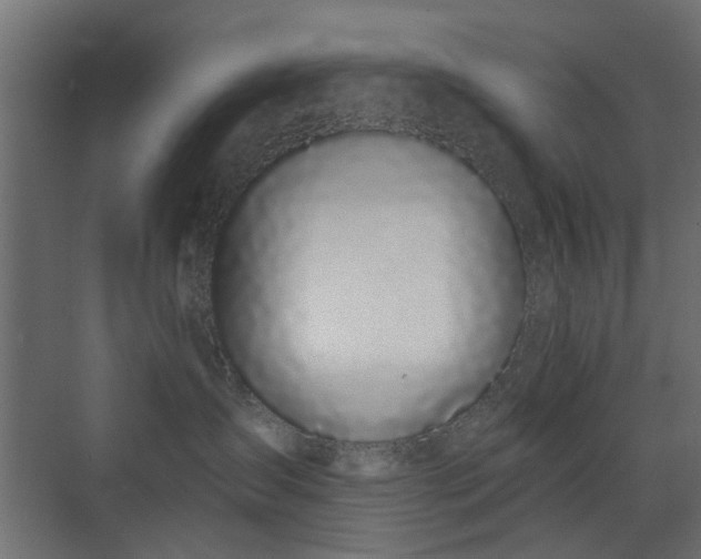 X0000072960431200607211202