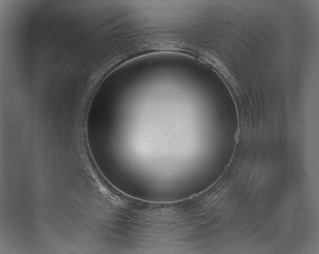 X0000072960433200607211201