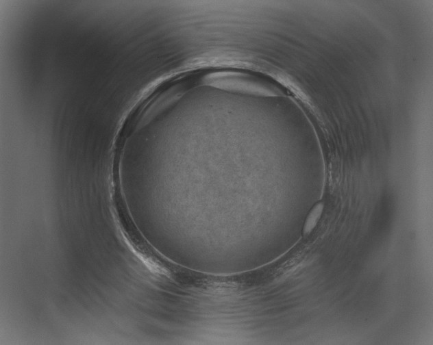 X0000072960438200607211201