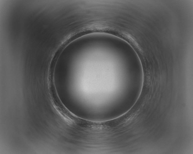 X0000072960439200607211201