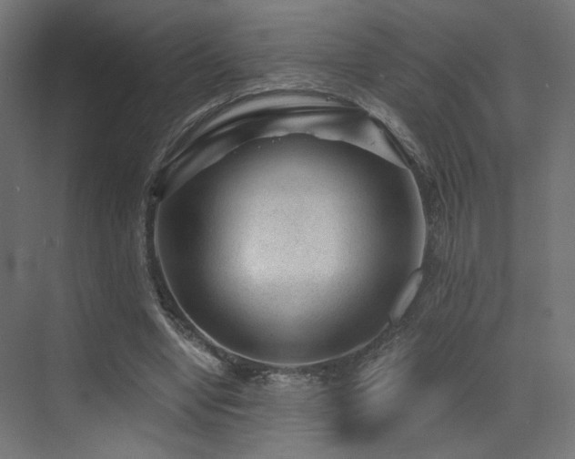 X0000072960442200607211201