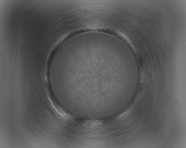 X0000072960443200607211201