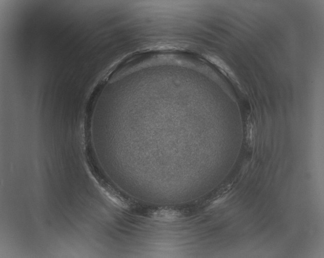 X0000072960444200607211201