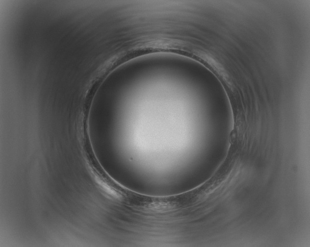 X0000072960445200607211201