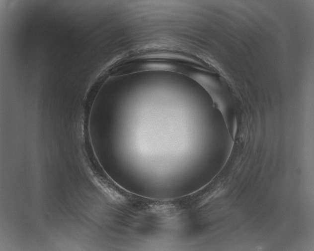 X0000072960446200607211201