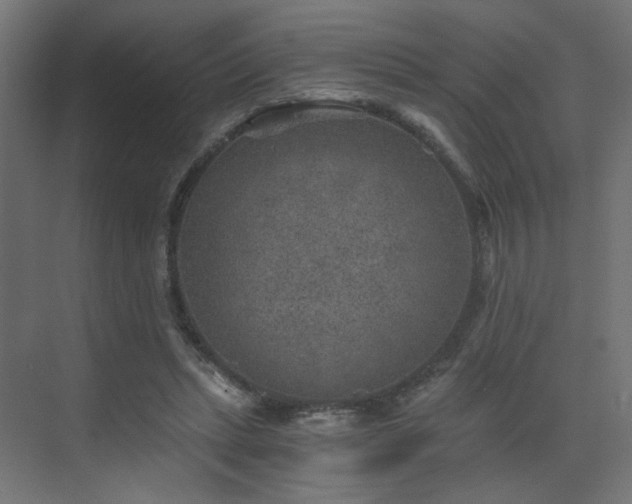 X0000072960447200607211201