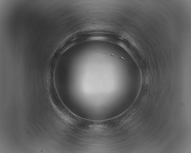 X0000072960448200607211201