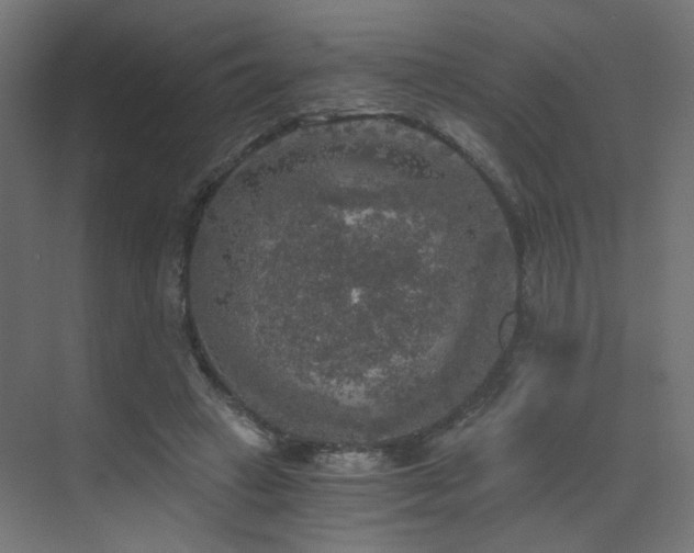 X0000072960449200607211201