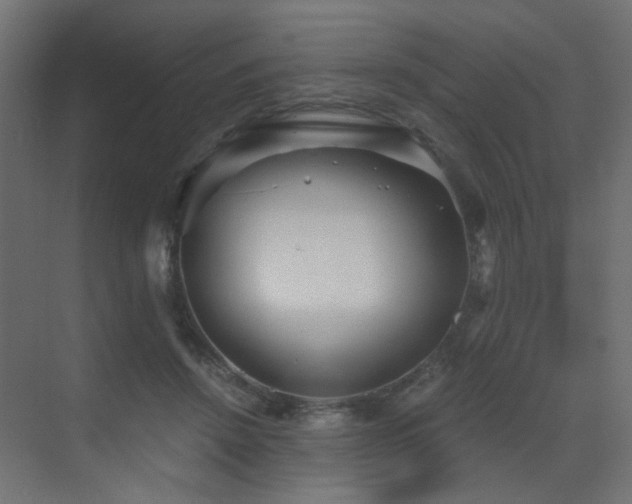 X0000072960456200607211202