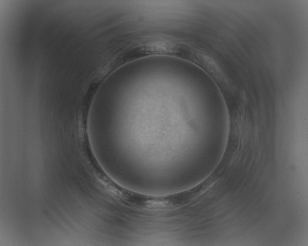 X0000072960457200607211202