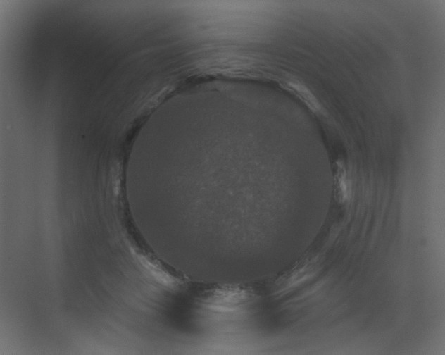 X0000072960458200607211202