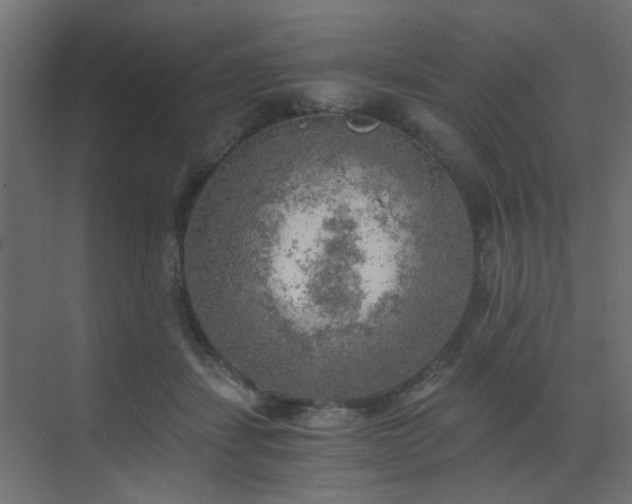 X0000072960459200607211202