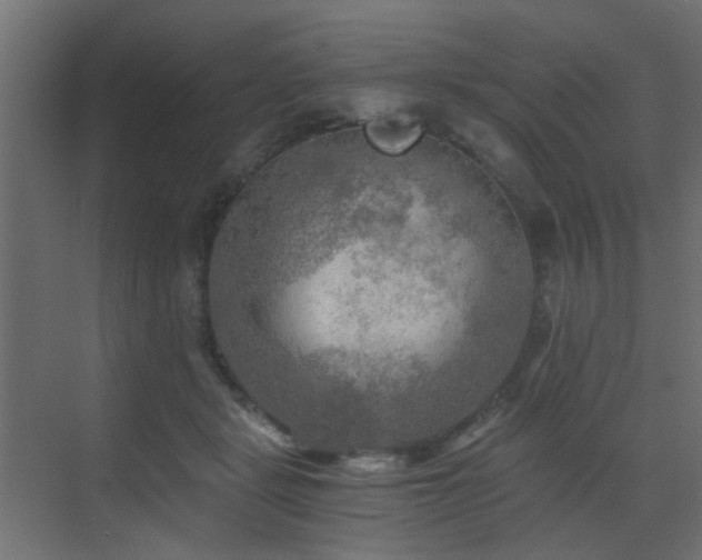 X0000072960461200607211202