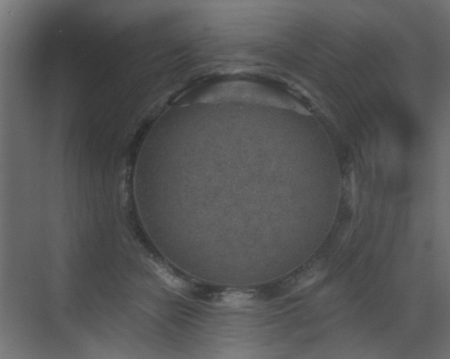 X0000072960462200607211202