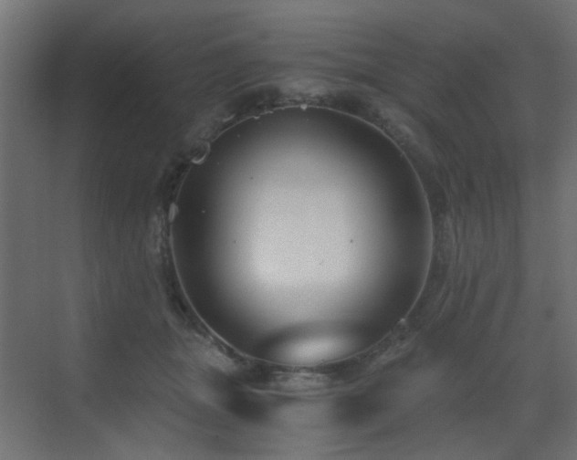 X0000072960463200607211202