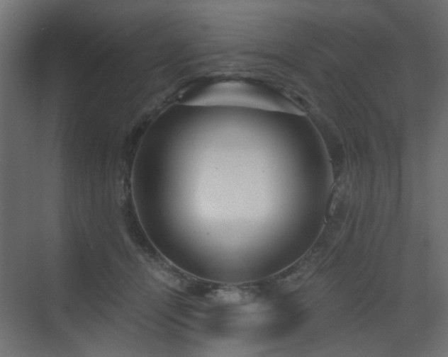 X0000072960464200607211202