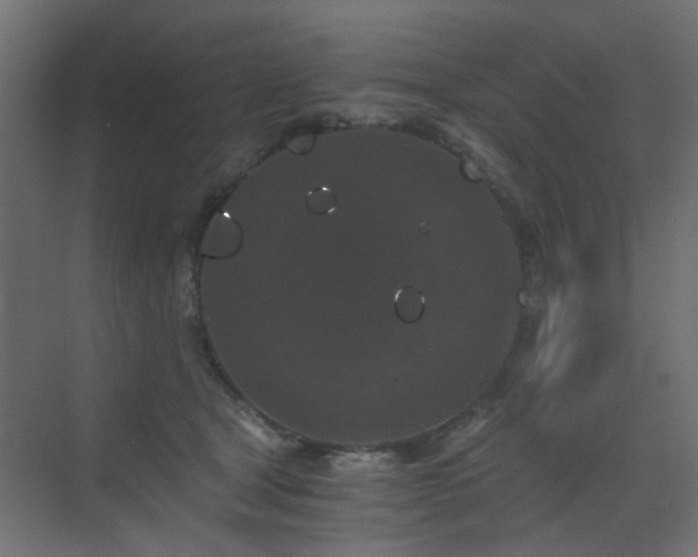 X0000072960465200607211202