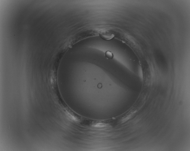 X0000072960467200607211202