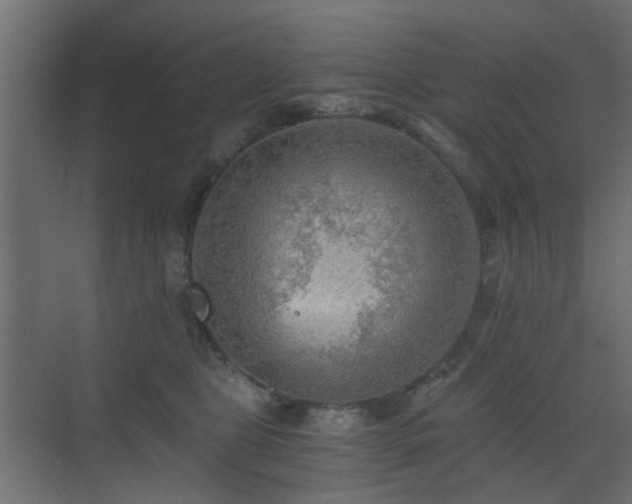 X0000072960469200607211202