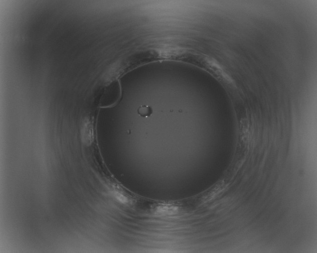 X0000072960471200607211202