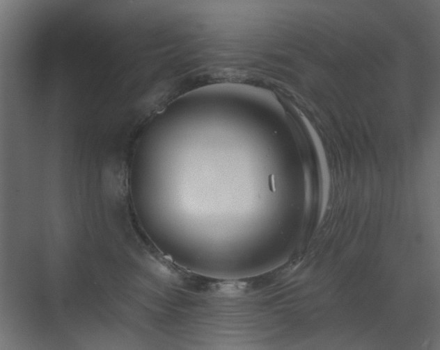 X0000072960474200607211202