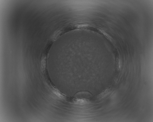 X0000072960475200607211202