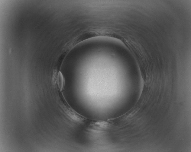 X0000072960478200607211202