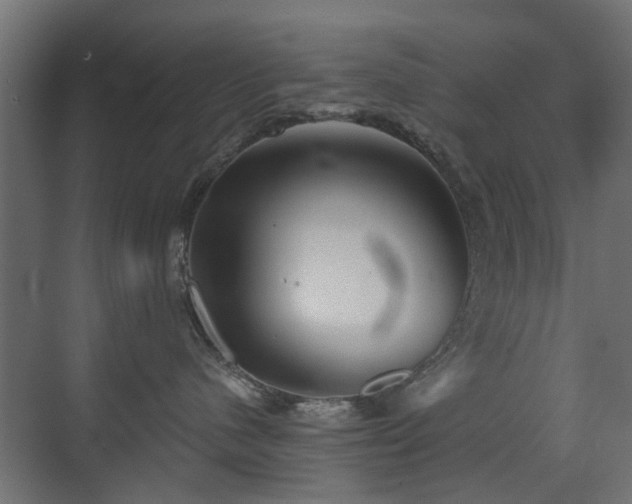 X0000072960480200607211202