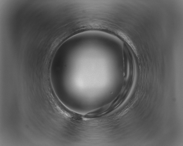 X0000072960481200607211201