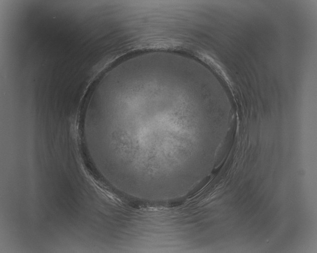 X0000072960483200607211201